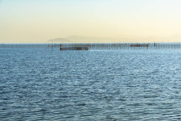 fish cages in the river at Vung Tau, Viet Nam.