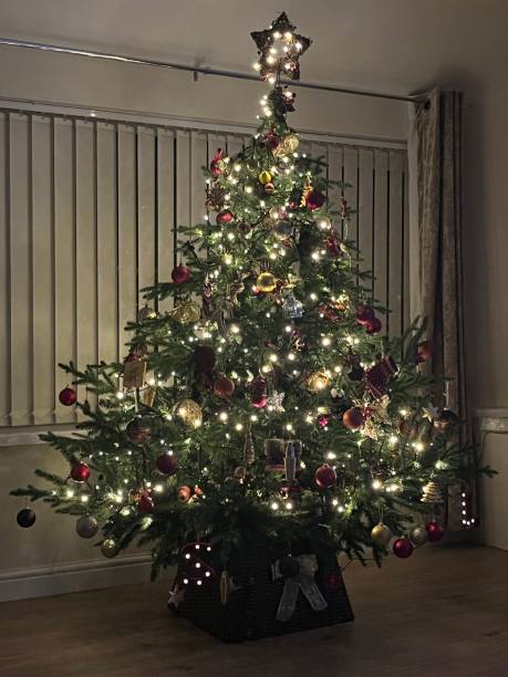 istock Large Christmas tree in a domestic residence 1863831099