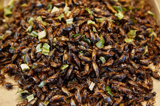 istock Deep fried crickets  at street market 1863833825