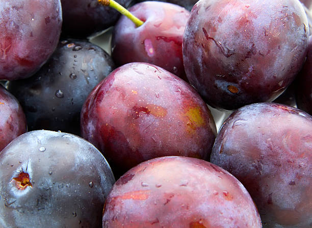 plum