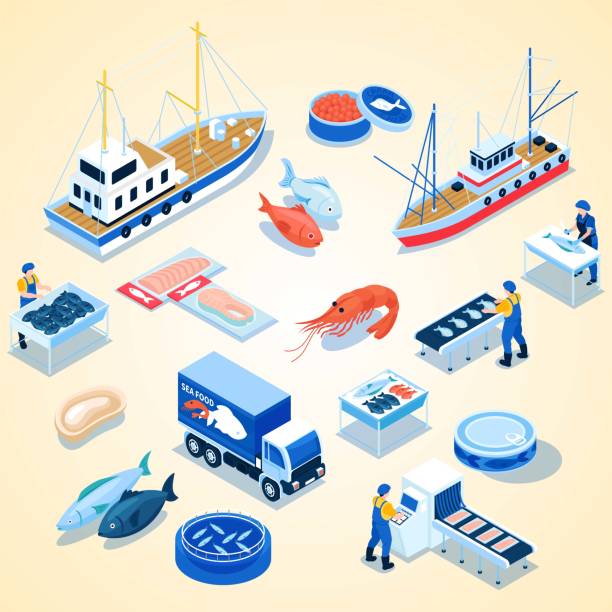 ilustrações, clipart, desenhos animados e ícones de pesca produção cor set entrega transporte salgado fresco produtos de peixe conservados camarões de caviar vermelho azul fundo ilustração vetorial isométrica - netting backgrounds fishing industry commercial fishing net