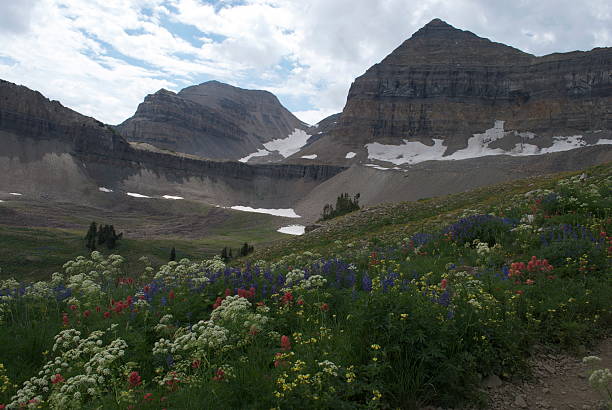 istock Mount Timpanogos, American Fork Canyon, UT 186392086