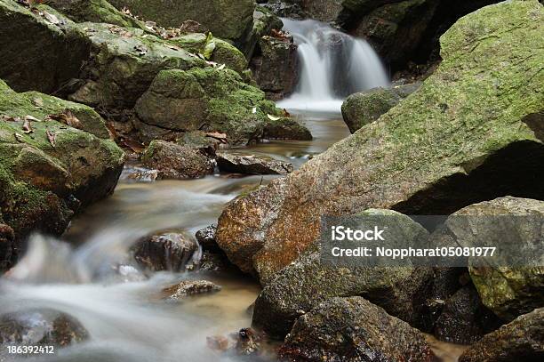 The Small Waterfall And Rocks In Forest Thailand Stock Photo - Download Image Now - Backgrounds, Boulder - Rock, Falling