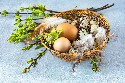 Easter basket with quail and chicken eggs, feathers and  branches of a tree with the first leaves. Easter composition