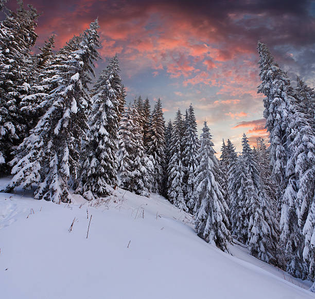 istock Dramatic winter landscape in the mountains. Sunset 186397849