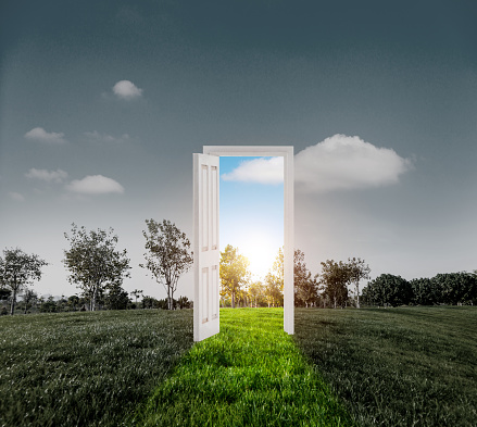 open white wooden door opening to freedom in green grass with flowers and blue sky realistic 3D rendering