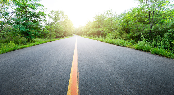 Empty country road through the forest in summer