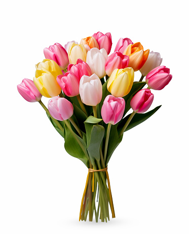 Bouquet of multi-colored tulips on a white background. Side view.