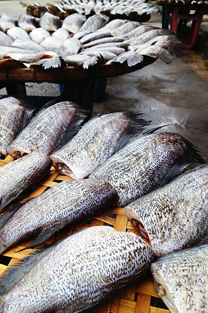 istock drying snakeskin gourami fishes 186399145