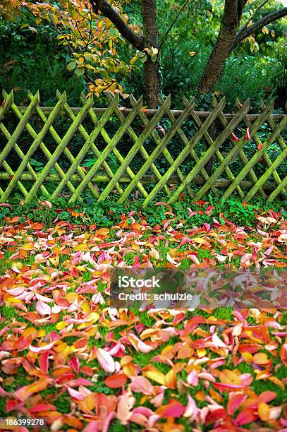 추절 채색기법 0명에 대한 스톡 사진 및 기타 이미지 - 0명, 가을, 가을 단풍