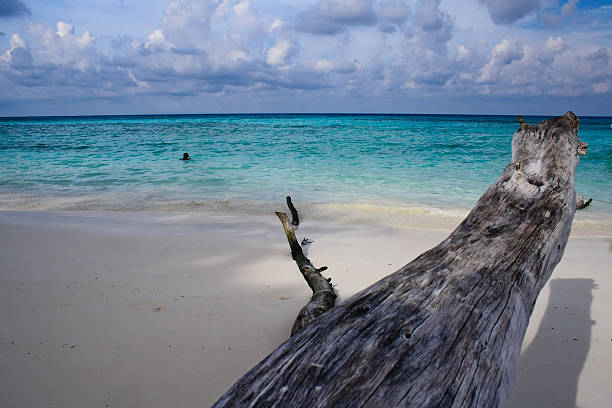 istock nature of sea 186399943