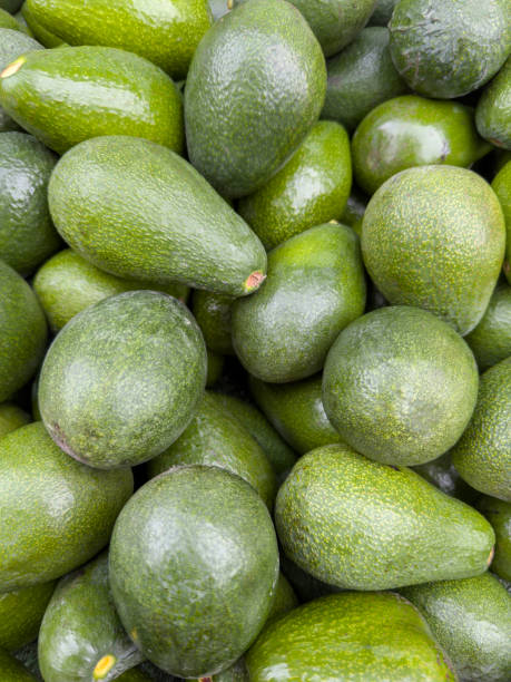 fresh raw avocado on market stock photo