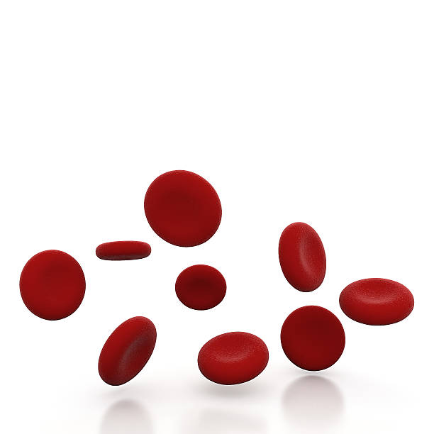 istock Stream of blood cells 186404472
