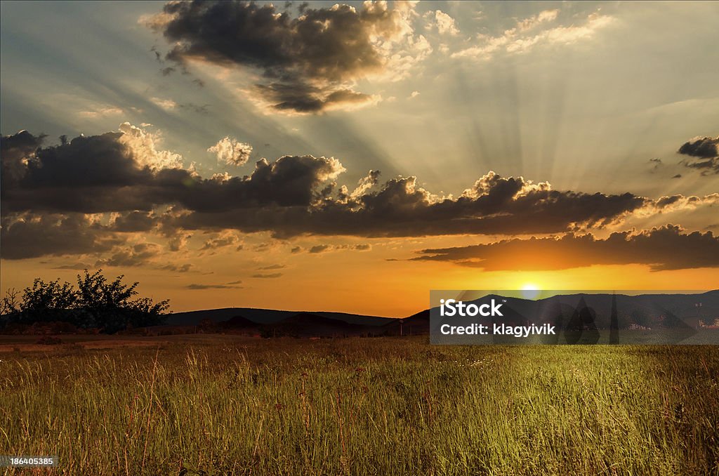 Arrière-plan de nuit - Photo de Beauté de la nature libre de droits