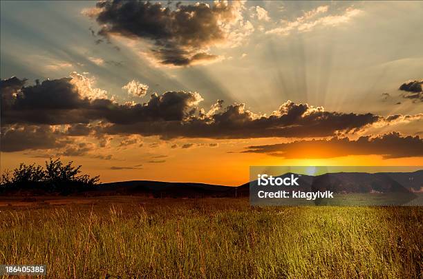 Sfondo Di Notte - Fotografie stock e altre immagini di Ambientazione esterna - Ambientazione esterna, Ambientazione tranquilla, Attrezzatura per illuminazione