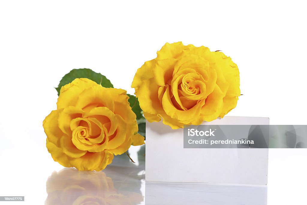 黄色のバラ - お祝いのロイヤリティフリーストックフォト