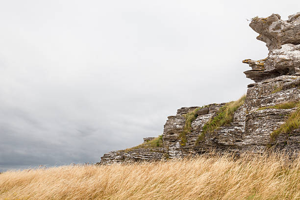 istock Limestone cliffs on the coastline of Gotland, Sweden 186407809