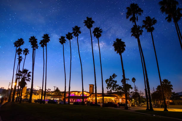 istock California sunset Palm tree rows in Santa Barbara, California 1864102603