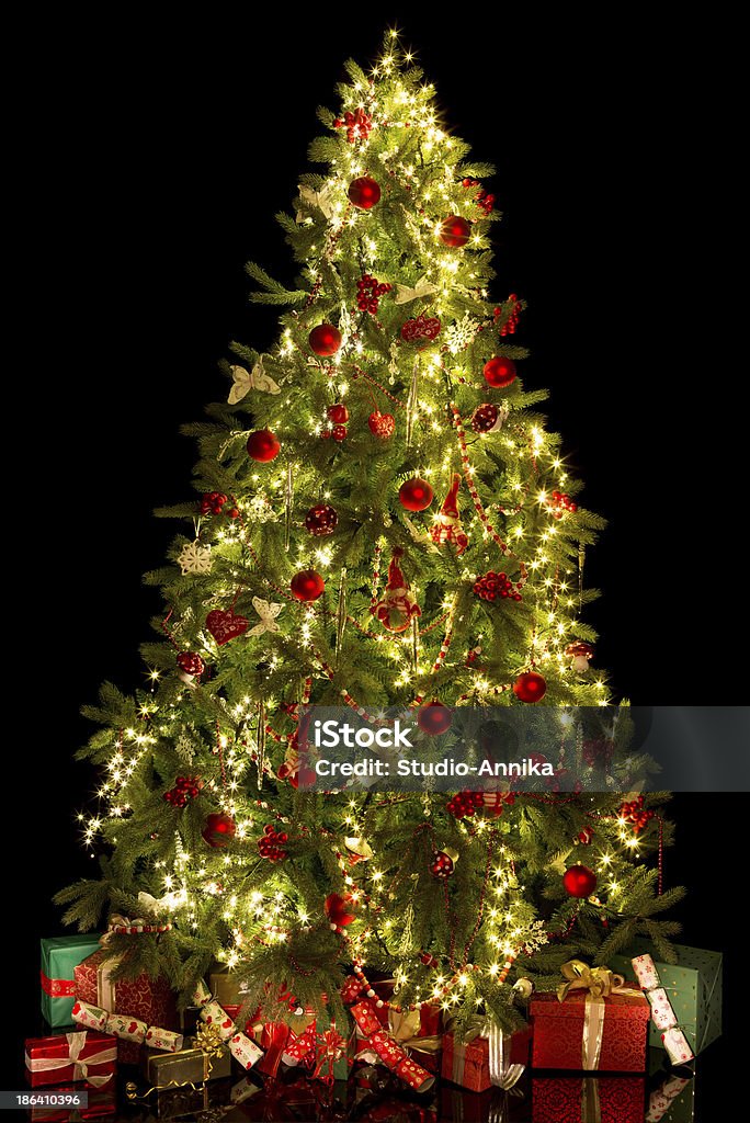 Illuminés de sapin de Noël - Photo de Arbre libre de droits