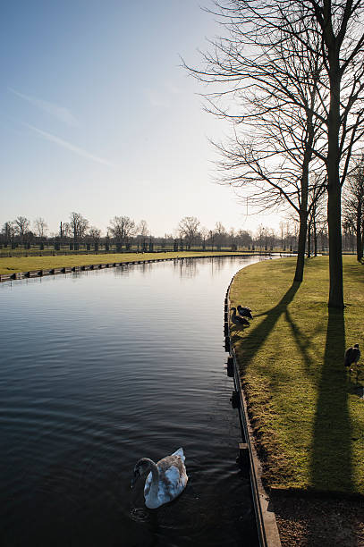 canal directamente com árvores, hampton court palace, surrey, inglaterra - bare tree winter plants travel locations imagens e fotografias de stock