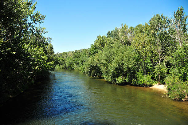 boise, idaho: greenbelt - boise river foto e immagini stock