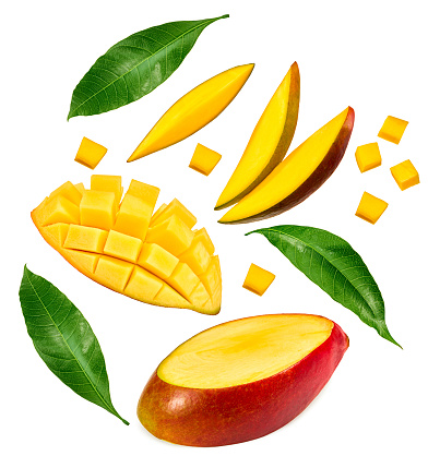 flying sliced mango with green leaves  isolated on white background. exotic fruit. clipping path