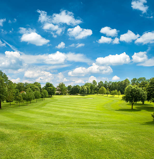 campo da golf verde e blu cielo nuvoloso - golf landscape golf course tree foto e immagini stock