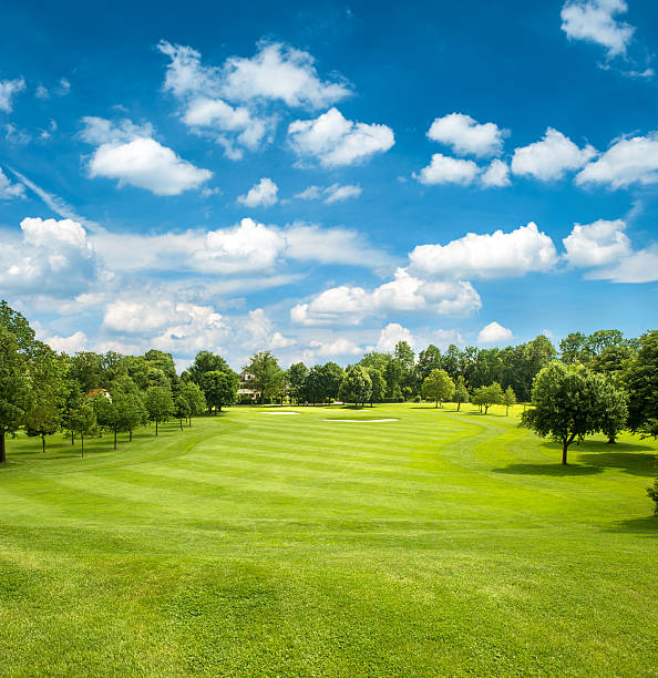 green golf field and blue cloudy sky - golf course stok fotoğraflar ve resimler