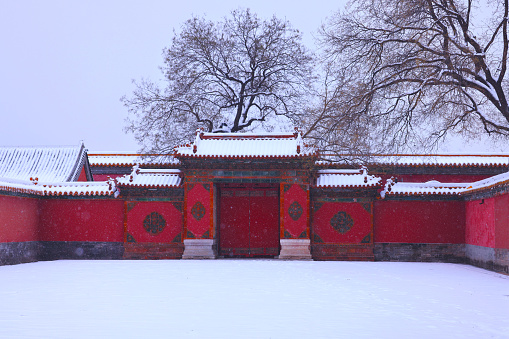 Beijing saw its first round snowfall of this winter season in the last week, leaving residents to wake up a capital blanketed with powdery white snow. The photo was taken last Thursday. Because the Forbidden City is red as whole, it is particularly beautiful when it is covered with snow. Many tourists put on traditional costumes and took photos. The heavy snowfall semmed to travel back a thousand years.