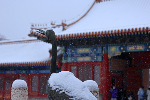 Beijing saw its first round snowfall of this winter season in the last week, leaving residents to wake up a capital blanketed with powdery white snow. The photo was taken last Thursday. Because the Forbidden City is red as whole, it is particularly beautiful when it is covered with snow. Many tourists put on traditional costumes and took photos. The heavy snowfall semmed to travel back a thousand years.