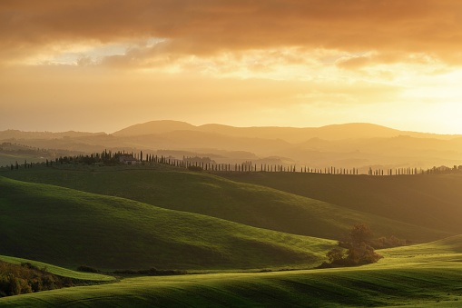 A warm sunrise landscape in the rolling hills of Tuscany with green fields and trees
