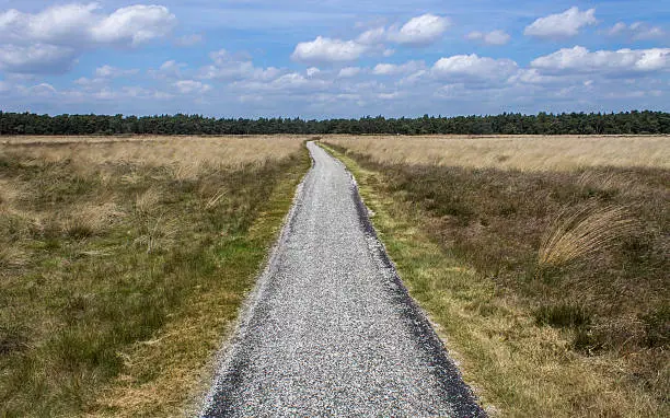 Hoge Veluwe Park, Holland