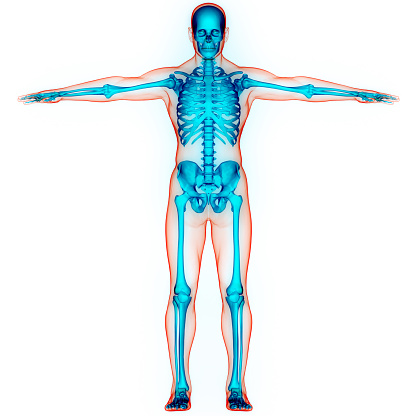 Blue neon outline of the male human body with sceleton