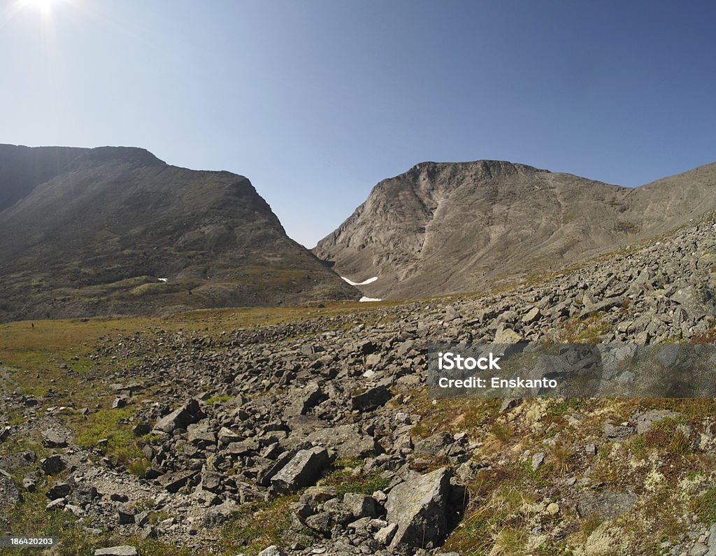 Khibiny mountains Animal Wildlife Stock Photo