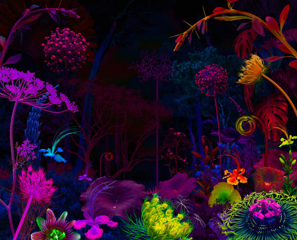 istock Beautiful blossom night jungle garden 1864217878