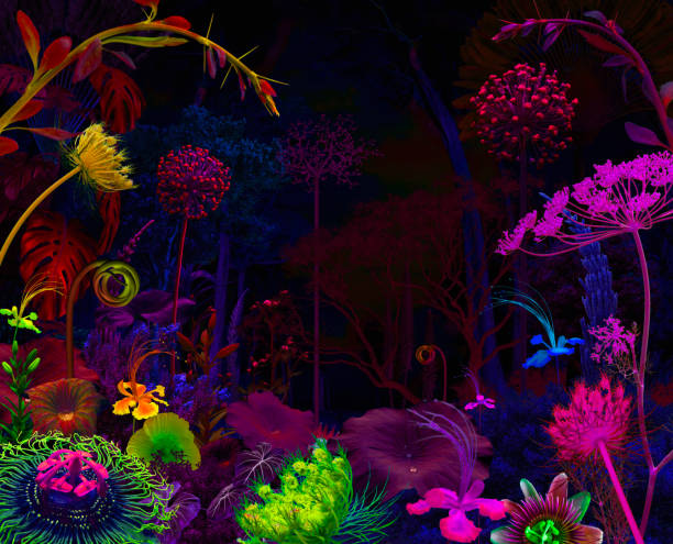 istock Beautiful blossom night jungle garden 1864217887