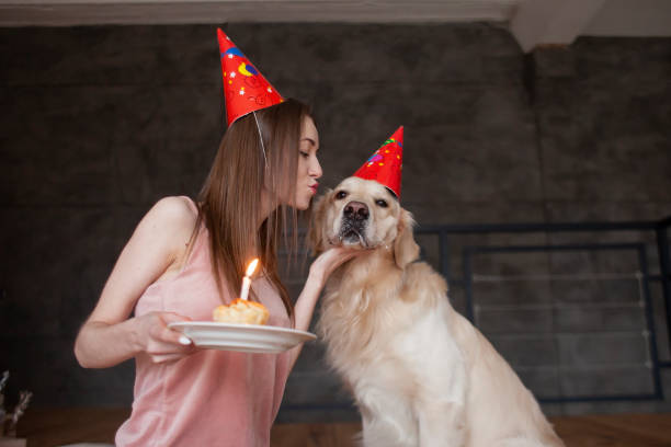cumpleaños del perro, mujer joven con golden retriever en sombreros festivos celebra el cumpleaños, la niña felicita a su mascota - perro primer cumpleaños fotografías e imágenes de stock