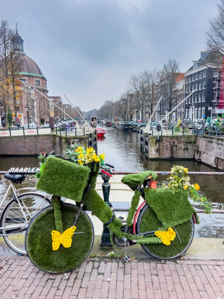 A bicycle decorated with artificial green grass, yellow flowers and butterflies is leaning on a bridge that is winding on a water canal in the city of Haarlem, Holland, on a cold and grey winter day. Travel destination and transport background, copy space.