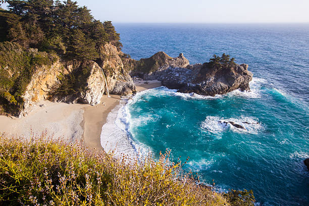 istock California coast in spring - Mcway falls with wild flowers 186422806