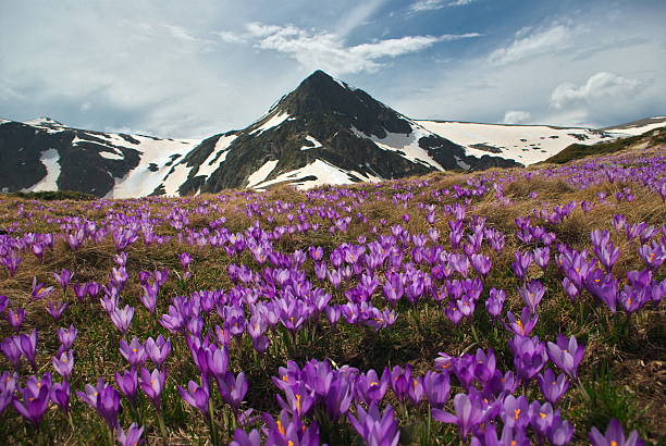 Rila mountain stock photo