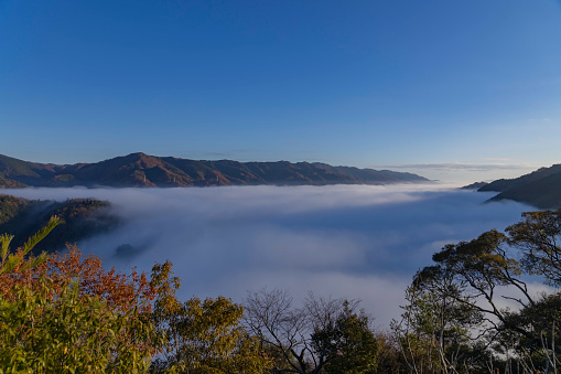 A sea of clouds at the top of the mountain in Kyoto. High quality photo. Soura district Kasagicho Kyoto Japan 12.04.2023 This mountain is called Kasagiyama mountain in Kyoto.