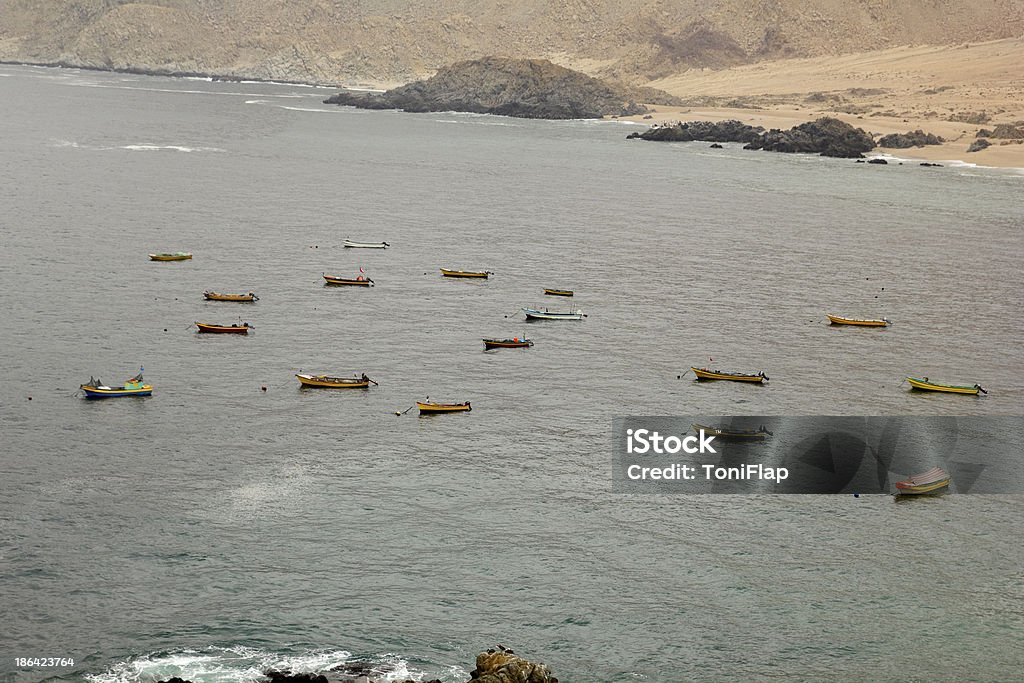 Fischerei Flotte - Lizenzfrei Chile Stock-Foto