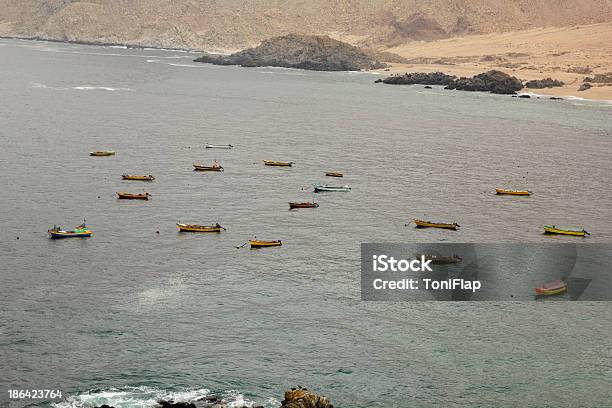 Fischerei Flotte Stockfoto und mehr Bilder von Chile - Chile, Nationalpark Pan de Azucar, Amerikanische Kontinente und Regionen