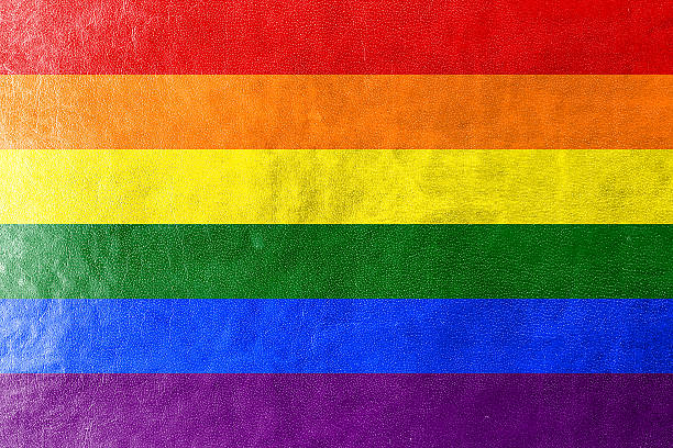 Rainbow Flag painted on leather texture stock photo