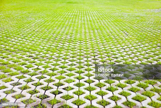 Ecofriendly Parking Stock Photo - Download Image Now - Dirt, Parking Lot, City