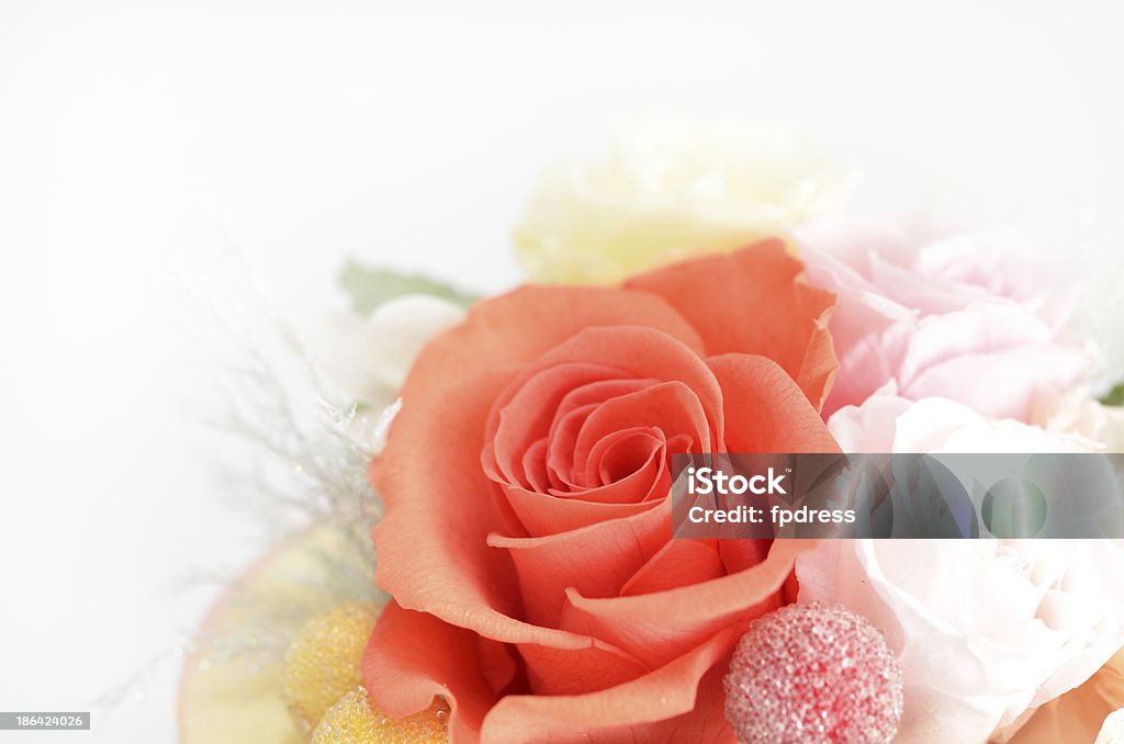 Консервированный цветы - Стоковые фото Бежевый роялти-фри