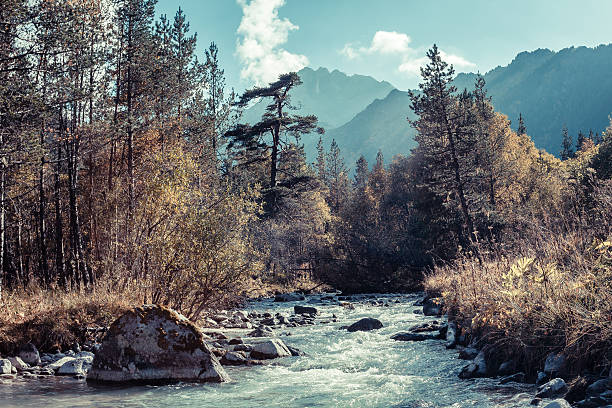 istock Rapid river in autumn mountains of the Caucasus 186424456