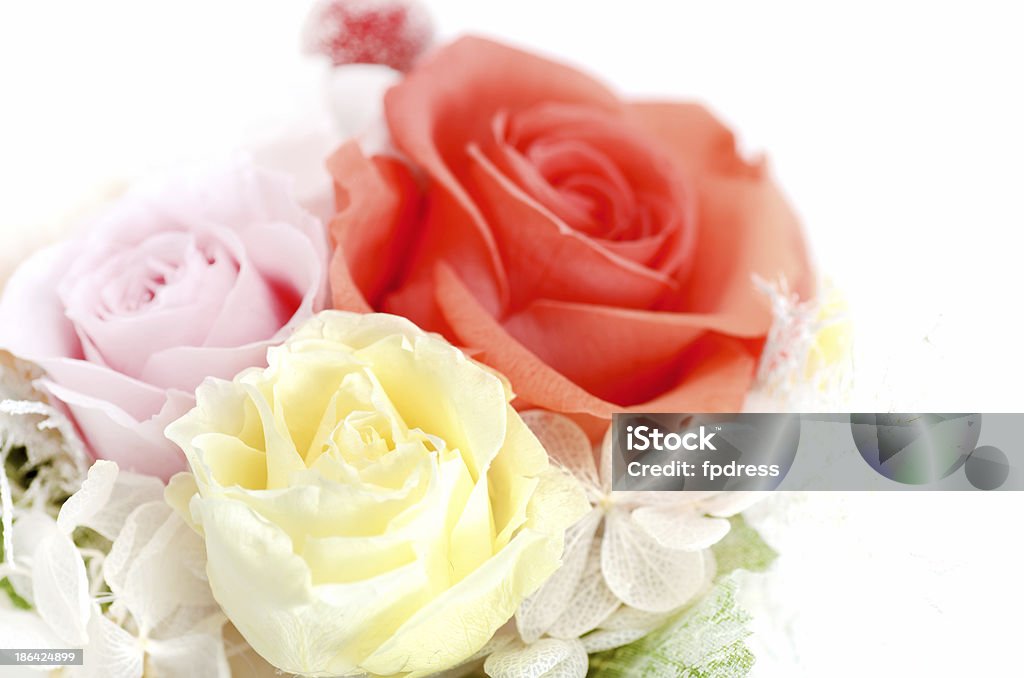 Conservato fiori - Foto stock royalty-free di Accessorio personale
