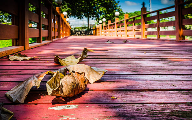 Dry leaves on over the old wooden bridge.