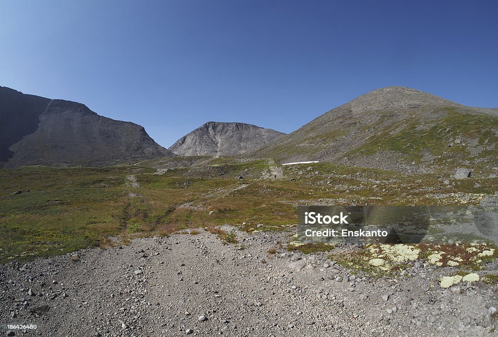 Khibiny mountains Animal Wildlife Stock Photo